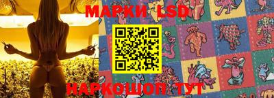 индика Можайск
