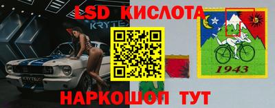 дживик Можга