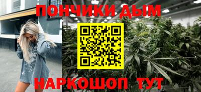 индика Можайск