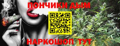 стаф Моздок