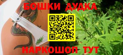 индика Можайск