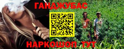 дживик Можга
