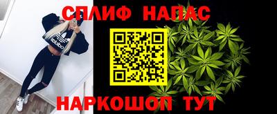 стаф Моздок