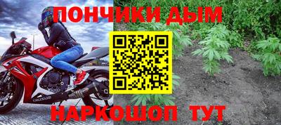 дживик Можга