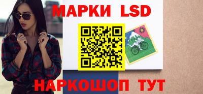 индика Можайск