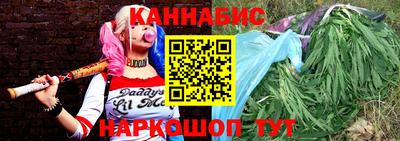 индика Можайск