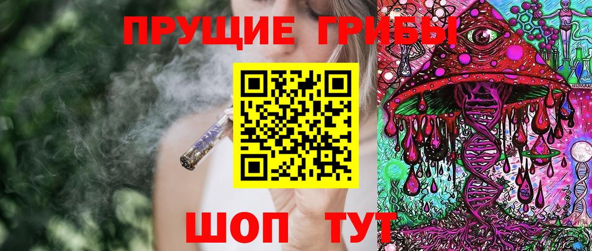 Галлюциногенные грибы GOLDEN TEACHER Комсомольск-на-Амуре